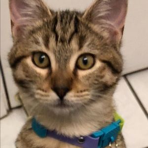 Meet your Posher, Jeanette